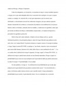 Análisis de riesgo y peligros temporales