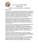 Macrolidos y quinolonas