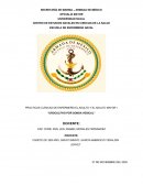 UROCULTIVO POR SONDA VESICAL