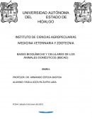 BASES BIOQUÍMICAS Y CELULARES DE LOS ANIMALES DOMÉSTICOS (BBCAD)