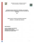 Sistematización del proceso de atención los usuarios hablantes de lenguas mexicanas en el Instituto Nacional de Pediatía