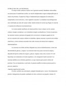 Estructura de las neuronas