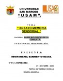 BASES BIOLÓGICAS DE LA CONDUCTA