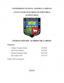EXTRACCIÓN DEL ALMIDÓN DE CAMOTE