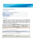 EA1. Cuestionario de control interno