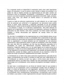 Informe estructura organizacional