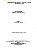 Diferencias entre sistemas y sistemas de gestion