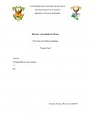 Recursos y Necesidades de México: Minería y Agua