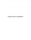 Ensayo sobre el Capitalismo