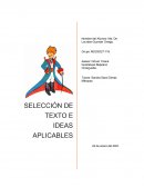 MI trabajo “El Principito”.