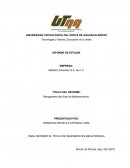 INFORME DE ESTADÍA EMPRESA: AMARO Alimentos S.A. de C.V