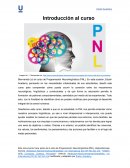 Programación Neurolingüística (PNL)