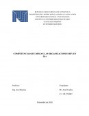 Competencias que desean las organizaciones hoy en dia