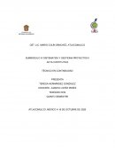 Actividad nº 4 Dependencias para realizar tramites de registro de una microempresa en Atlacomulco