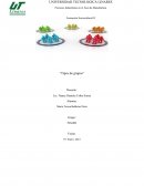 Formación Sociocultural II“Tipos de grupos”