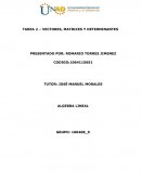 TAREA 2 – VECTORES, MATRICES Y DETERMINANTES