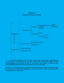 Clasificación de los Números