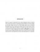 Biologia. Fenotipo, Genotipo, ambiente y variación