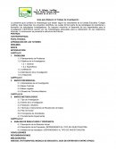 Guía para Elaborar el Trabajo de Investigación