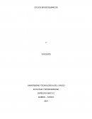 Ciclos biogeoquimicos