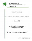 INGENIERÍA EN SISTEMAS COMPUTACIONALES