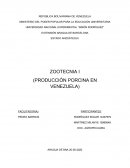 PRODUCCIÓN PORCINA EN VENEZUELA