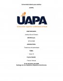 Psicologia educativa tarea 1