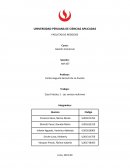 Caso Práctico 1 - Las ventas multinivel