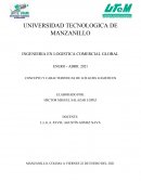 CONCEPTO Y CARACTERISTICAS DE LOS GUBS LOGISTICOS