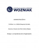 La importancia de la reorganización