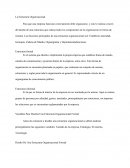 La Estructura Organizacional