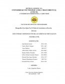 EFECTIVIDAD Y BENEFICIO USO DE LAS AUDIENCIAS VIRTUALES EN MATERIA CIVIL