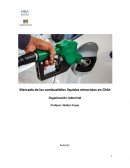 Mercado de los combustibles líquidos minoristas en Chile