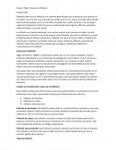 Tipos Y Causas de Inflación