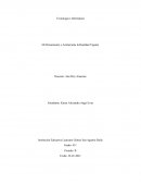 Mi pensamiento y actitud ante la realidad vigente