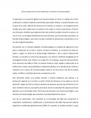 ¿Cómo la agricultura ha sido ayudada por la clonación y la biotecnología?