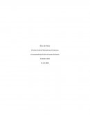 Conceptualización de las bases de datos