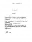 Informe de laboratorio "El bagre"