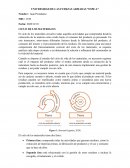 CICLO DE LOS MATERIALES