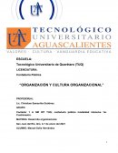 Organización y cultura organizacional