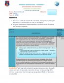 ETAPAS DE LA INTERFASE