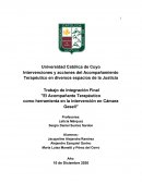 El Acompañante Terapéutico como herramienta en la intervención en Cámara Gesell