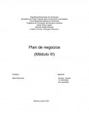Plan de negocios (Módulo III)