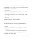 Economia ¿Qué es agricultura?