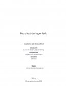 ARTICULO CIENTÍFICO CAPACIDADES DINÁMICAS