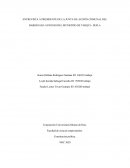 ENTREVISTA A PRESIDENTE DE LA JUNTA DE ACCIÓN COMUNAL DEL BARRIO SAN ANTONIO DEL MUNICIPIO DE TARQUI - HUILA