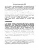 Estructura de proyectos IDEO