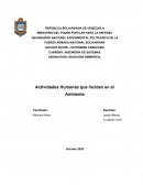 Actividades Humanas que Inciden en el Ambiente