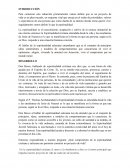 Sociologia sara latorre