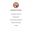 Práctica 5. Reino Protista